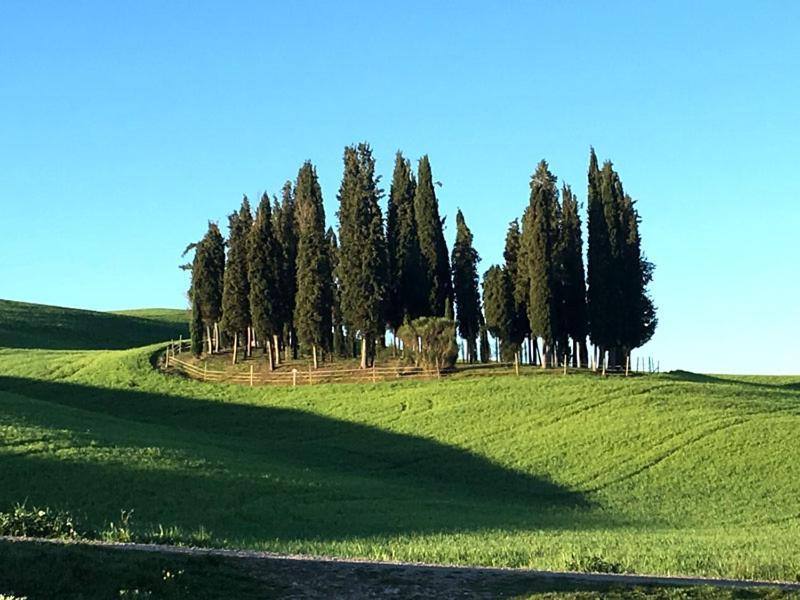 Finestra Sulla Val D'Orcia Apartment San Quirico d'Orcia Luaran gambar